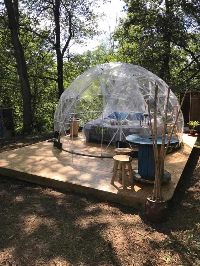 Bulle Etoilee En Nature Landaise Saint-Sever  エクステリア 写真