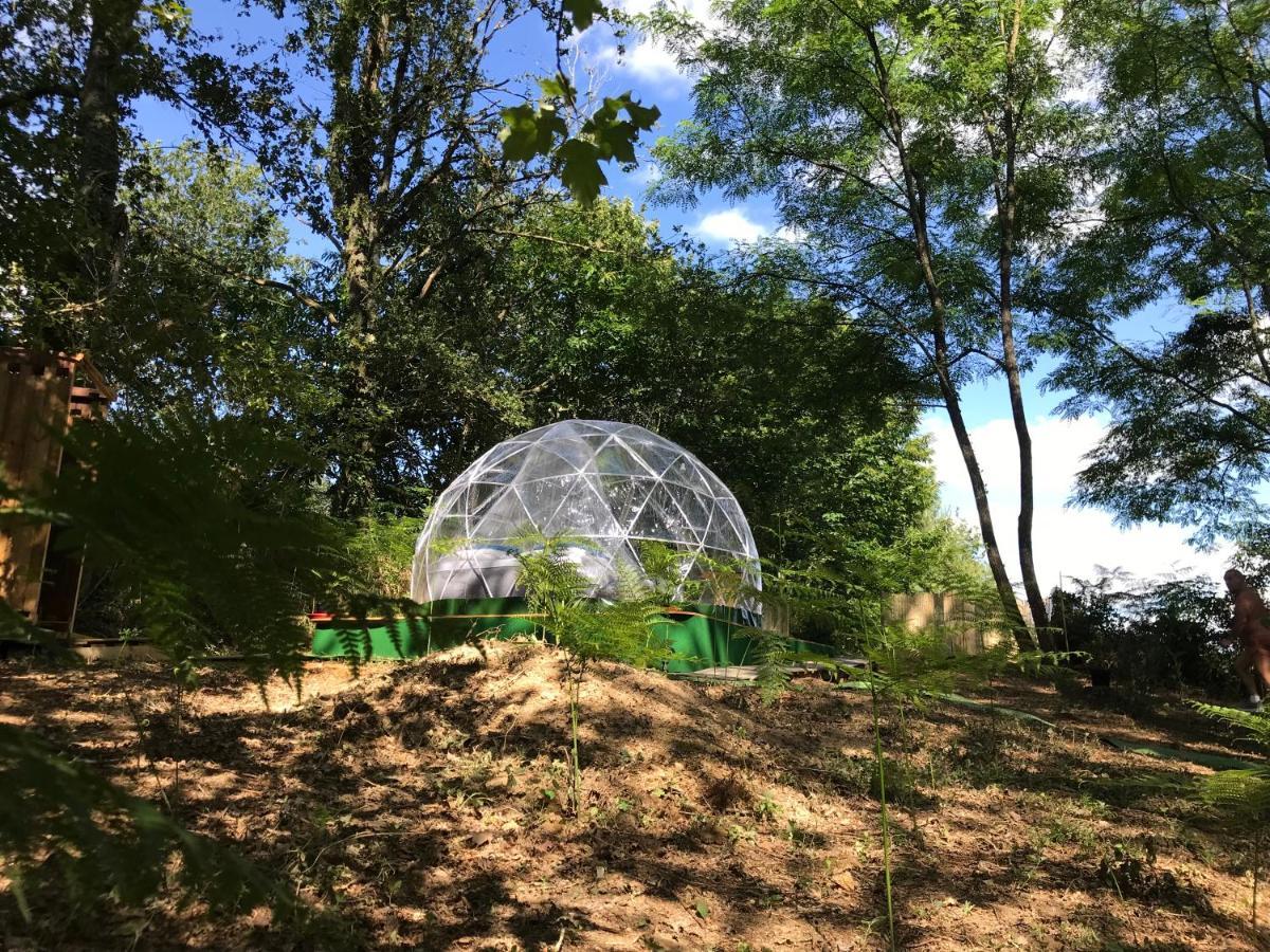 Bulle Etoilee En Nature Landaise Saint-Sever  エクステリア 写真