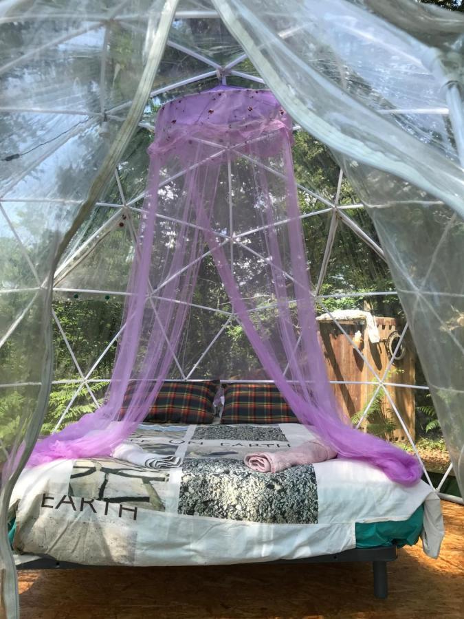 Bulle Etoilee En Nature Landaise Saint-Sever  エクステリア 写真