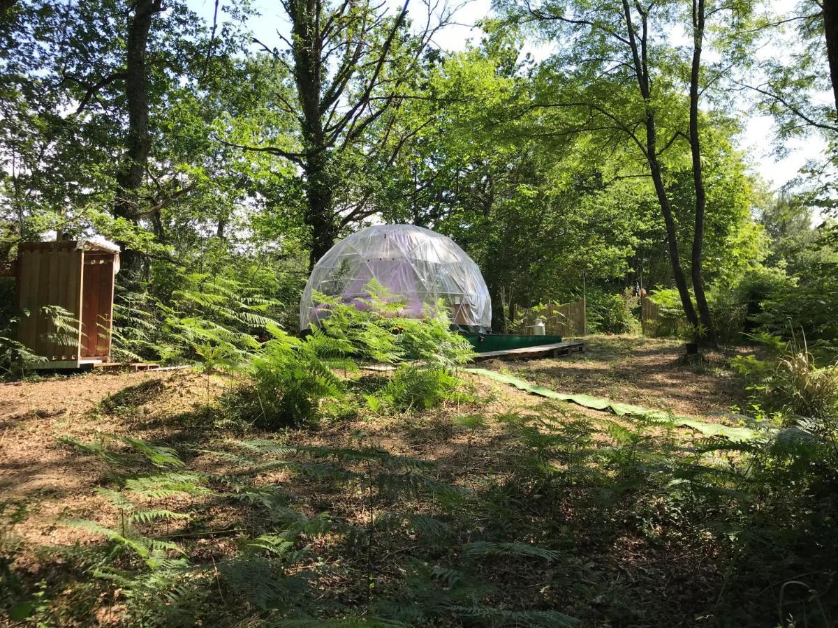 Bulle Etoilee En Nature Landaise Saint-Sever  エクステリア 写真